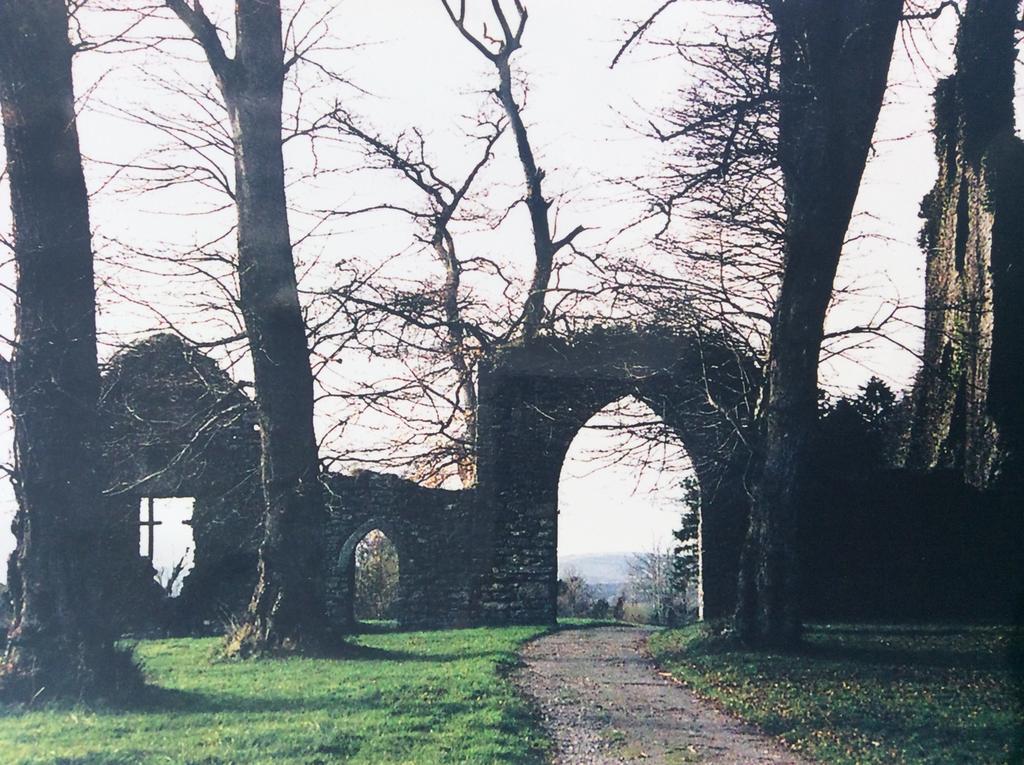 Oakdale, Templemore, E41F856 Extérieur photo
